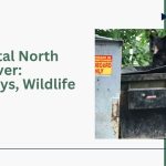 Bin Rental North Vancouver: Tackling Steep Driveways and Bear-Proofing
